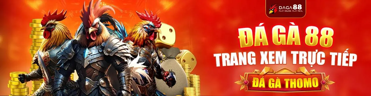 Sân đấu đá gà trực tuyến 98win1 đầy kịch tính với các chiến kê dũng mãnh