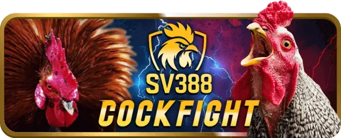 Hình ảnh các chương trình khuyến mãi và ưu đãi hấp dẫn tại 98win1